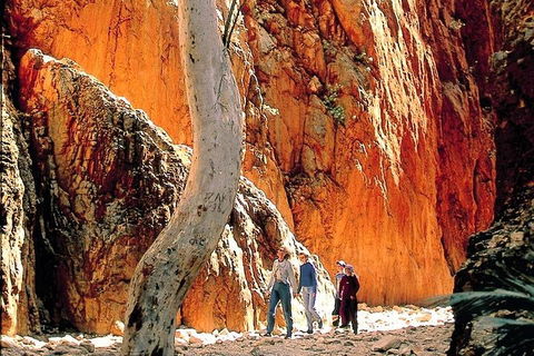 West MacDonnell Ranges Day Trip From Alice Springs - Accommodation Burleigh 3