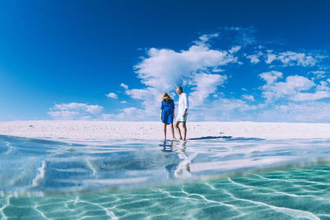 4-Day Coastal Loop Via Monkey Mia Wild Dolphins Kalbarri Pinnacles Perth Return - Accommodation Burleigh 0