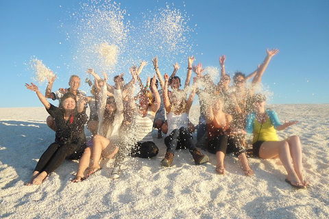 4-Day Coastal Loop Via Monkey Mia Wild Dolphins Kalbarri Pinnacles Perth Return - Accommodation Burleigh 1