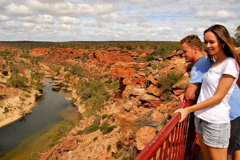 4-Day Coastal Loop Via Monkey Mia Wild Dolphins Kalbarri Pinnacles Perth Return - Accommodation Burleigh 3