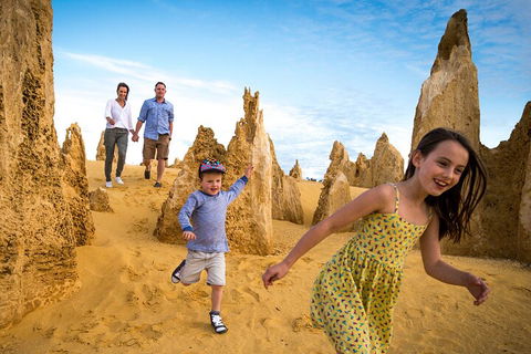 Pinnacles Sunset Dinner And Stargazing Experience A Small Group Tour - Accommodation Burleigh 3