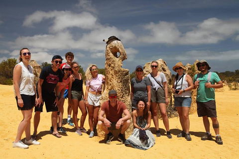 Pinnacles Sunset Dinner And Stargazing Experience A Small Group Tour - Accommodation Burleigh 4
