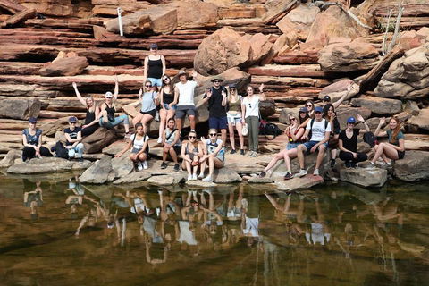 6-Day Coral Coaster From Perth To Exmouth One-Way Via Monkey Mia Ningaloo Reef - Accommodation Burleigh 2