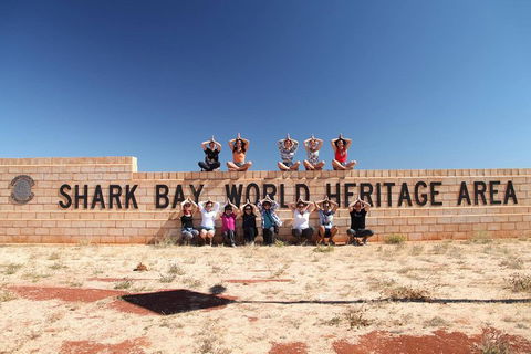 6-Day Coral Coaster From Perth To Exmouth One-Way Via Monkey Mia Ningaloo Reef - Accommodation Burleigh 4
