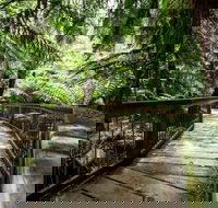 12 Apostles Eco-Friendly Great Ocean Road Iconic Adventure from Melbourne - Accommodation Burleigh