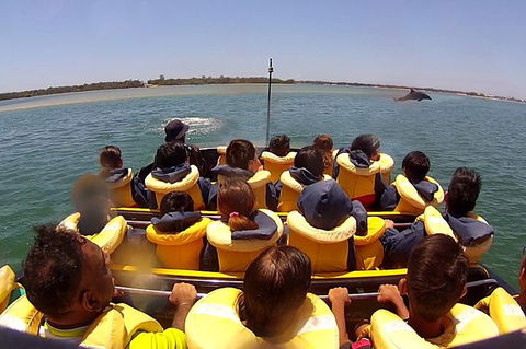 Jet Boat Express Ride - 30mins - Accommodation Burleigh 5