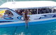 Whitsunday Bullet Day Trip - Whitehaven Beach And Snorkelling - thumb 2