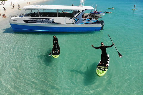Whitsunday Bullet Day Trip - Whitehaven Beach And Snorkelling - Accommodation Burleigh 4