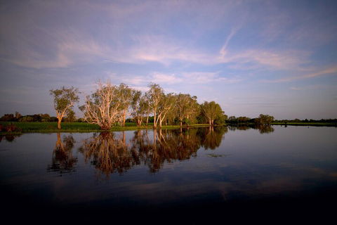 Yellow Water Cruise - Kakadu - Accommodation Burleigh 1