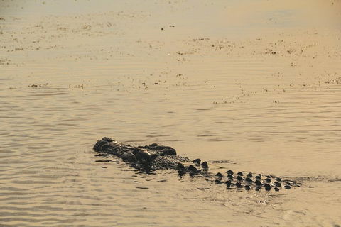 Yellow Water Cruise - Kakadu - Accommodation Burleigh 2