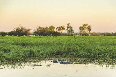 Yellow Water Cruise - Kakadu - Accommodation Burleigh 3