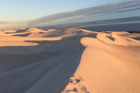 Pinnacles Desert Private Tour - Accommodation Burleigh 1
