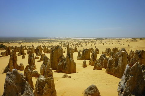 Pinnacles Desert Private Tour - Accommodation Burleigh 2
