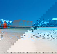 Margaret River and Geographe Bay Region Day Trip from Perth - Accommodation Burleigh