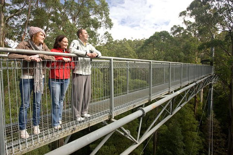 Adventure Sunset Three Day Great Ocean Road Tour - Accommodation Burleigh 0