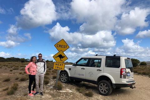 Kangaroo Island 4WD Tour - Best Of KI - Accommodation Burleigh 5