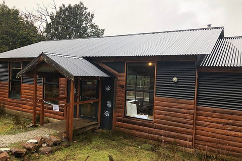 After Dark Tasmanian Devil Feeding Tour At Cradle Mountain - Accommodation Burleigh 3