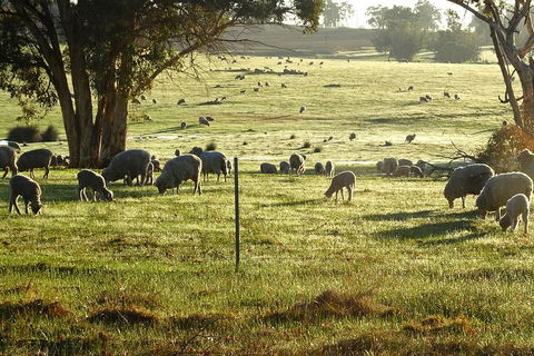 The Big Wave Rock (Private) Day Tour - Accommodation Burleigh 1