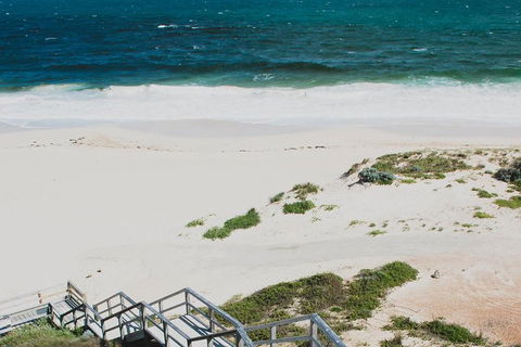 Yanchep & Lancelin - Wildlife, Cave And Sands - Accommodation Burleigh 5