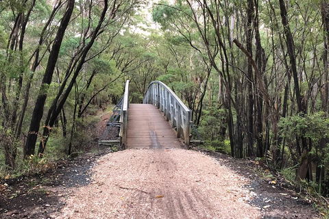3d/2n Themed Camping Getaway - Private Campgrounds And National Parks - Accommodation Burleigh 2