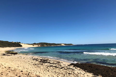 3d/2n Themed Camping Getaway - Private Campgrounds And National Parks - Accommodation Burleigh 3
