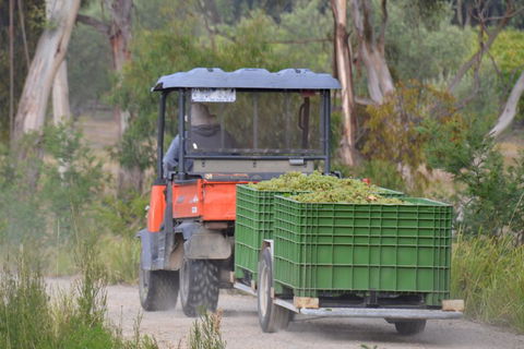 Yarra Valley Private Car Winery Tour And Chocolate.1-7 Passengers One Car Price - Accommodation Burleigh 1