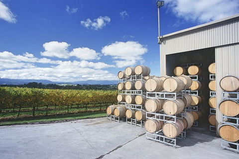 Yarra Valley Private Car Winery Tour And Chocolate.1-7 Passengers One Car Price - Accommodation Burleigh 2