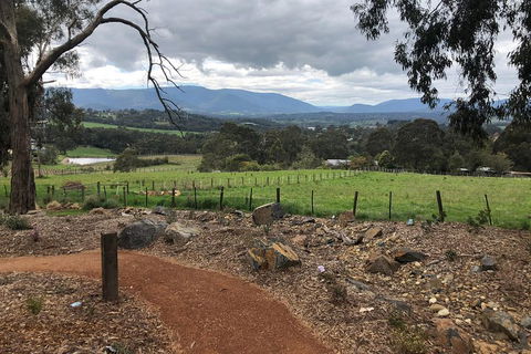 Yarra Valley Wine Tour Inc Lunch With A Glass Of Wine, Tastings And Chocolate - Accommodation Burleigh 0