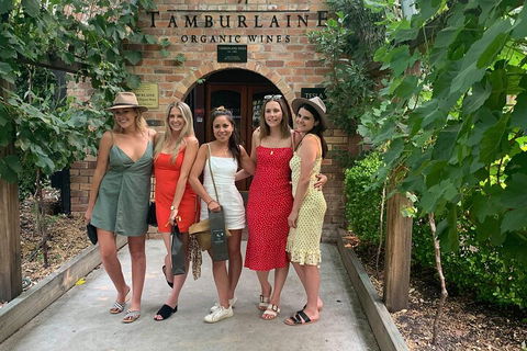 A Full Day Hunter Valley Wine Tasting Tour With Lunch And Tasting Fee's Included - Accommodation Burleigh 4