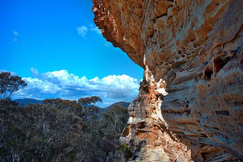 Unforgettable Blue Mountains Day Tour - Accommodation Burleigh 2
