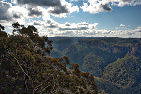 Unforgettable Blue Mountains Day Tour - Accommodation Burleigh 4