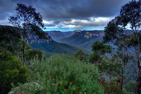 Ultimate Blue Mountains And Wildlife Tour - Accommodation Burleigh 1