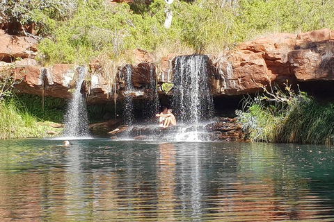 9 Day Perth To Broome Adventure - Accommodation Burleigh 2