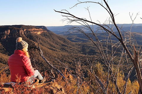 Ultimate Blue Mountains Waterfalls, Walks & Sunset PRIVATE Tour - Accommodation Burleigh 2