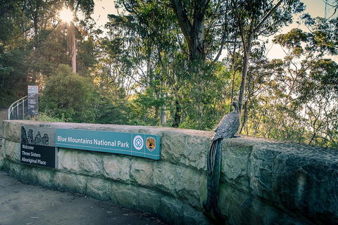 Ultimate Blue Mountains Waterfalls, Walks & Sunset PRIVATE Tour - Accommodation Burleigh 3