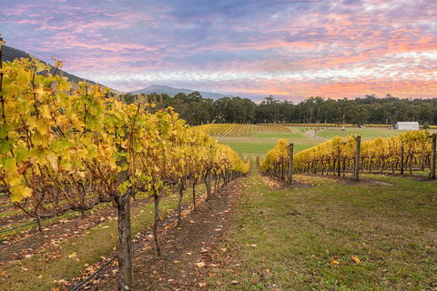 Yarra Valley Boutique Winery Tour From Melbourne - Accommodation Burleigh 3