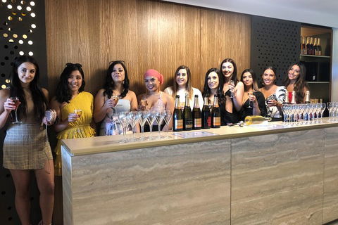 Yarra Valley Public Winery Tours - Accommodation Burleigh 0