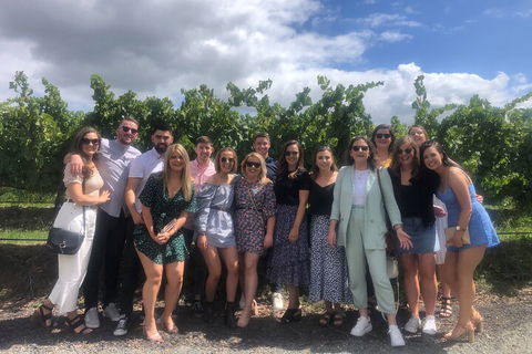 Yarra Valley Public Winery Tours - Accommodation Burleigh 3