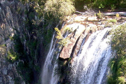 Byron Bay Combo: Hinterland Tour Including Minyon Falls And Kayaking With Dolphins - Accommodation Burleigh 3