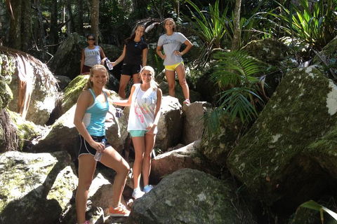 Byron Bay Combo: Hinterland Tour Including Minyon Falls And Kayaking With Dolphins - Accommodation Burleigh 4