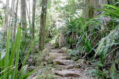 Byron Bay Combo: Hinterland Tour Including Minyon Falls And Kayaking With Dolphins - Accommodation Burleigh 5