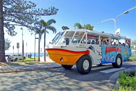 Aquaduck Sunshine Coast - Accommodation Burleigh 1