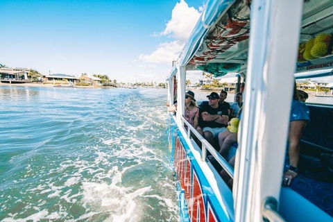 Aquaduck Sunshine Coast - Accommodation Burleigh 5