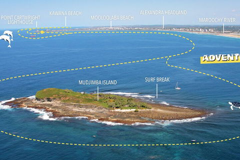 1.5HR Mudjimba Island Wildlife Safari - Accommodation Burleigh 1