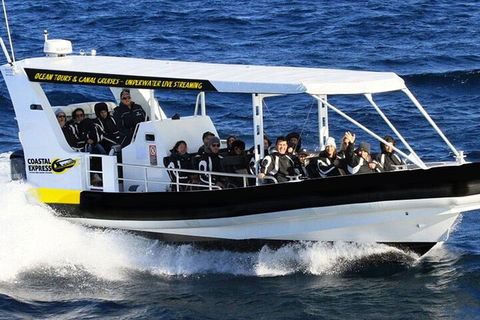 1.5HR Mudjimba Island Wildlife Safari - Accommodation Burleigh 2