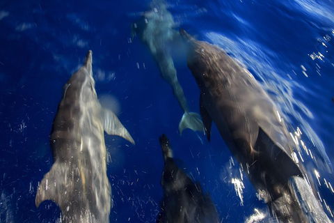 1.5HR Mudjimba Island Wildlife Safari - Accommodation Burleigh 3