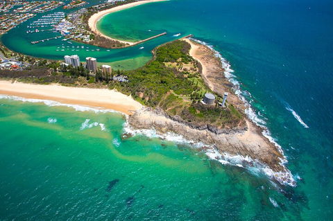 1.5HR Mudjimba Island Wildlife Safari - Accommodation Burleigh 5