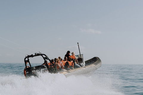 Adventure Rafting - Accommodation Burleigh 0