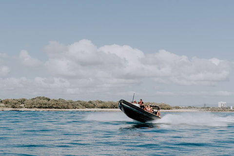 Adventure Rafting - Accommodation Burleigh 3