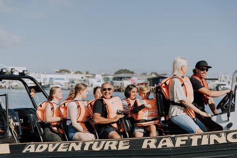 Adventure Whale Watching Tour Mooloolaba - Accommodation Burleigh 4